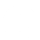 icon2 icon2