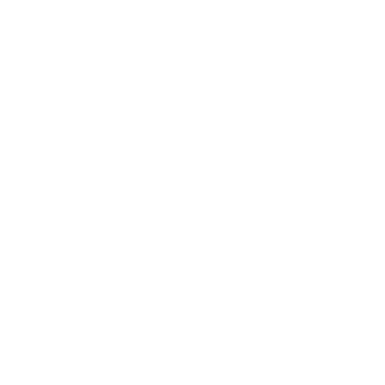 icon2 icon2
